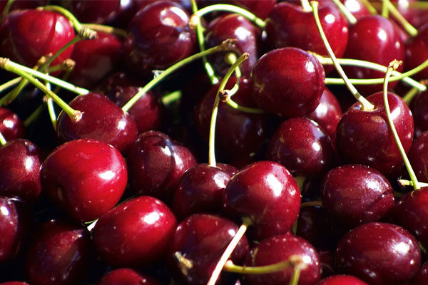 Trái cherry tốt cho sức khoẻ